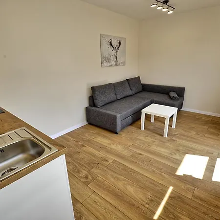 Skalite Wellness Appartement Szczyrk