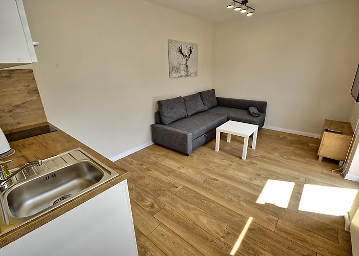 Skalite Wellness Apartment Szczyrk